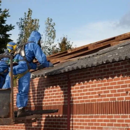 Asbestos Roof Removal Newcastle