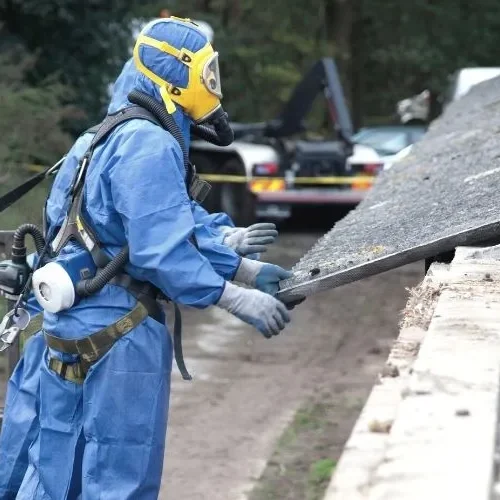 Asbestos Roof Removal Newcastle
